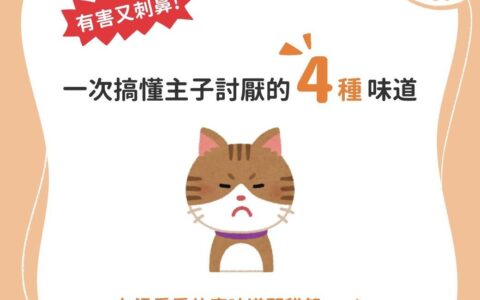 猫咪最讨厌的4种味道，你知道吗