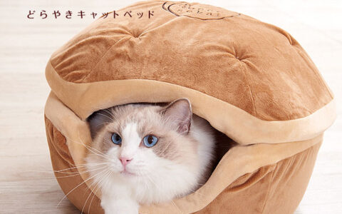 猫主子专用「铜锣烧夹心枕」，一秒化身毛绒绒内馅，多种口味自由搭配！