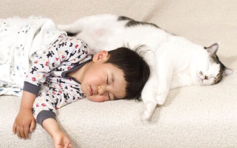 小孩跟宠物睡着的时候马上变天使！