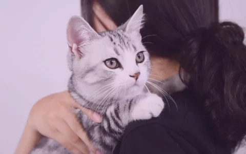当你抱起猫咪时，在它心里，它是怎么想的？