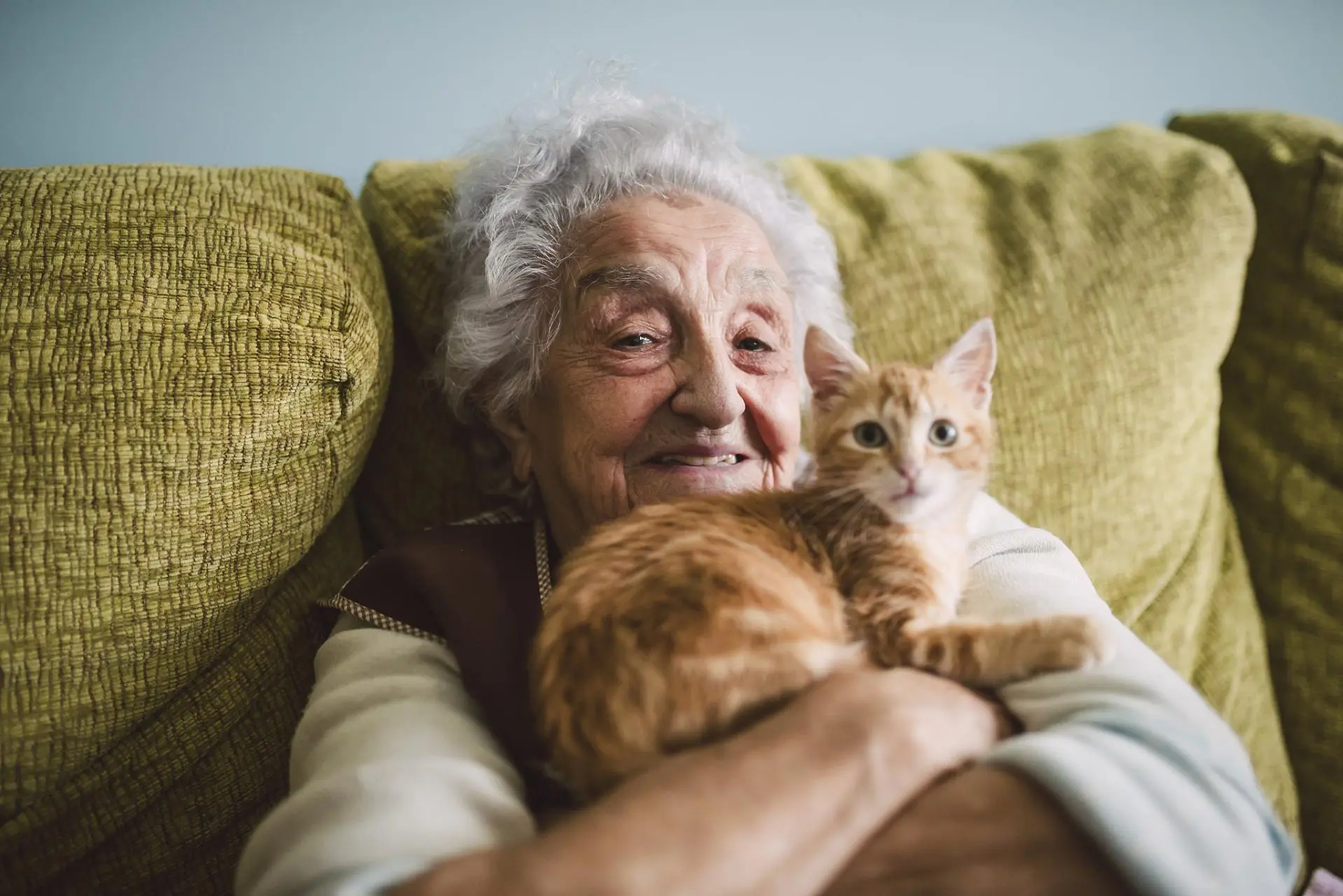 到底养猫的人，和没养过猫的人相比，谁的寿命更长呢？