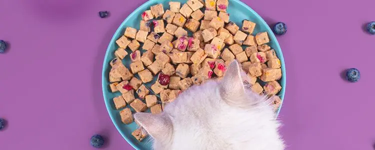 以下是八种食物，可以有助于减轻猫咪泪痕问题